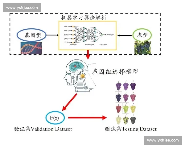 关节健康管理与日常生活护理策略全面指导