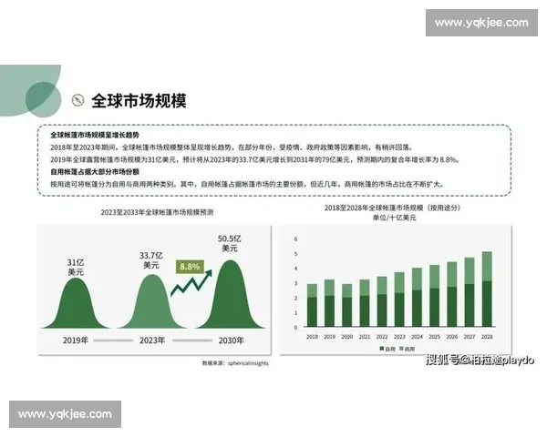 版本演变视角下的深度解读与发展趋势分析