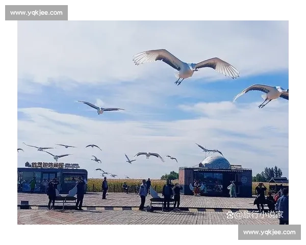 精彩回放：回顾那些震撼瞬间与难忘时刻的精彩演绎